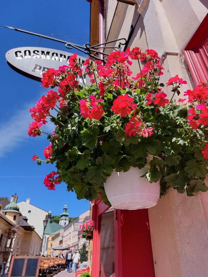 Penzion Cosmopolitan Ii. Banská Štiavnica Extérieur photo